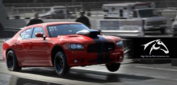 High Horse Performance