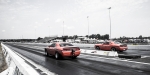 mg_8127_small